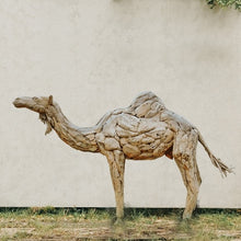 DESERT Camel